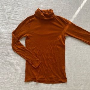 JCrew Tissue Turtleneck